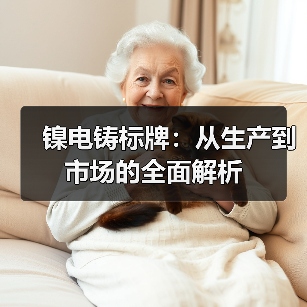 镍电铸标牌:从生产到市场的全面解析(图4) 镍电铸标牌:从生产到市场的全面解析(图4)