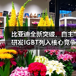 比亚迪全新突破，自主研发IGBT列入核心竞争力（图2）