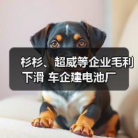 杉杉、超威等企业毛利下滑 车企建电池厂（图3）