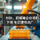 杉杉、超威等企业毛利下滑 车企建电池厂（图1）