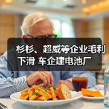 杉杉、超威等企业毛利下滑 车企建电池厂（图4）