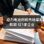 动力电池回收市场爆发前期 仅5家企业(图4) 动力电池回收市场爆发前期 仅5家企业(图4)