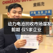 动力电池回收市场爆发前期 仅5家企业(图3) 动力电池回收市场爆发前期 仅5家企业(图3)