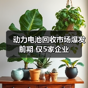 动力电池回收市场爆发前期 仅5家企业(图1) 动力电池回收市场爆发前期 仅5家企业(图1)