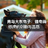 青岛大东电子:镍电铸标牌的创新与品质(图4) 青岛大东电子:镍电铸标牌的创新与品质(图4)