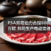PSA邦奇动力合投8000万欧 共同生产电动变速箱(图2) PSA邦奇动力合投8000万欧 共同生产电动变速箱(图2)