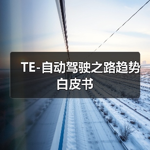 TE-自动驾驶之路趋势白皮书(图3) TE-自动驾驶之路趋势白皮书(图3)