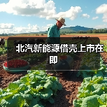 北汽新能源借壳上市在即（图3）