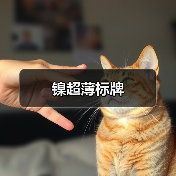 镍超薄标牌(图3) 镍超薄标牌(图3)