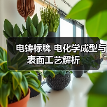 电铸标牌 电化学成型与表面工艺解析(图4) 电铸标牌 电化学成型与表面工艺解析(图4)