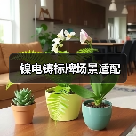 镍电铸标牌场景适配(图1) 镍电铸标牌场景适配(图1)