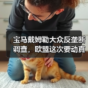 宝马戴姆勒大众反垄断调查，欧盟这次要动真格了（图2）