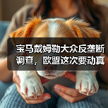 宝马戴姆勒大众反垄断调查，欧盟这次要动真格了（图1）