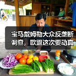 宝马戴姆勒大众反垄断调查，欧盟这次要动真格了（图4）