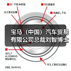 宝马（中国）汽车贸易有限公司总裁刘智博士：进口豪华车市场持续向好（图4）