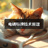 电铸标牌技术原理(图3) 电铸标牌技术原理(图3)