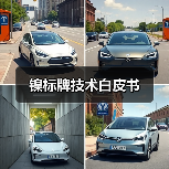镍标牌技术白皮书(图2) 镍标牌技术白皮书(图2)