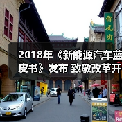2018年《新能源汽车蓝皮书》发布 致敬改革开放40周年（图2）