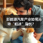 新能源汽车产业如何消除“超速”隐忧?(图3) 新能源汽车产业如何消除“超速”隐忧?(图3)