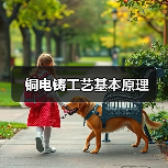 铜电铸工艺基本原理(图2) 铜电铸工艺基本原理(图2)