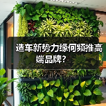 造车新势力缘何频推高端品牌?(图4) 造车新势力缘何频推高端品牌?(图4)