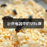 厨房电器中的铝标牌(图3) 厨房电器中的铝标牌(图3)