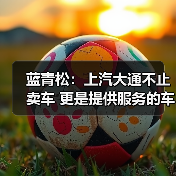 蓝青松：上汽大通不止卖车 更是提供服务的车企（图3）