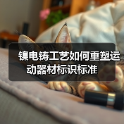 镍电铸工艺如何重塑运动器材标识标准(图3) 镍电铸工艺如何重塑运动器材标识标准(图3)