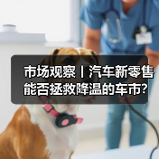 市场观察丨汽车新零售能否拯救降温的车市?(图4) 市场观察丨汽车新零售能否拯救降温的车市?(图4)