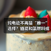 纯电动不再是“唯一”选择?插混和氢燃料或重拾窗口期(图2) 纯电动不再是“唯一”选择?插混和氢燃料或重拾窗口期(图2)