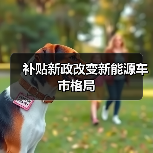 补贴新政改变新能源车市格局(图4) 补贴新政改变新能源车市格局(图4)