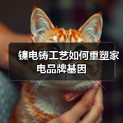 镍电铸工艺如何重塑家电品牌基因(图2) 镍电铸工艺如何重塑家电品牌基因(图2)