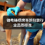 镍电铸标牌革新包装行业品质标准（图4）