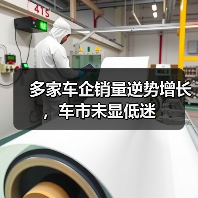 多家车企销量逆势增长，车市未显低迷（图2）