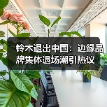 铃木退出中国：边缘品牌集体退场潮引热议（图2）