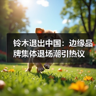 铃木退出中国：边缘品牌集体退场潮引热议（图3）