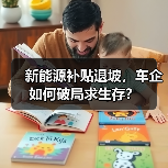 新能源补贴退坡,车企如何破局求生存?(图2) 新能源补贴退坡,车企如何破局求生存?(图2)