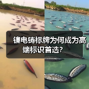 镍电铸标牌为何成为高端标识首选?(图2) 镍电铸标牌为何成为高端标识首选?(图2)