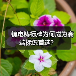 镍电铸标牌为何成为高端标识首选?(图3) 镍电铸标牌为何成为高端标识首选?(图3)
