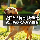 高田气囊隐患持续发酵 逾万辆腾势汽车面临召回(图2) 高田气囊隐患持续发酵 逾万辆腾势汽车面临召回(图2)