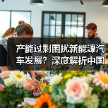 产能过剩困扰新能源汽车发展？深度解析中国产业现状与未来方向（图4）