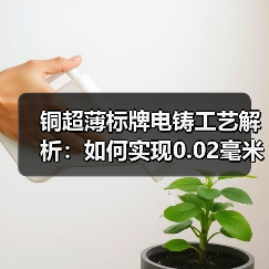 铜超薄标牌电铸工艺解析:如何实现0.02毫米极致精度?(图1) 铜超薄标牌电铸工艺解析:如何实现0.02毫米极致精度?(图1)