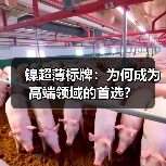 镍超薄标牌:为何成为高端领域的首选?(图4) 镍超薄标牌:为何成为高端领域的首选?(图4)