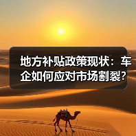 地方补贴政策现状:车企如何应对市场割裂?(图1) 地方补贴政策现状:车企如何应对市场割裂?(图1)