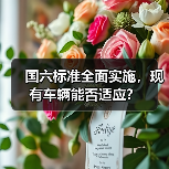 国六标准全面实施，现有车辆能否适应？（图4）