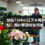 续航150km以下不再补贴！国补新政将如何重塑新能源市场？（图3）