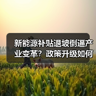 新能源补贴退坡倒逼产业变革？政策升级如何影响车市？（图3）