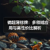 铜超薄标牌：多领域应用与高性价比解析（图3）