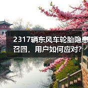 2317辆东风车轮胎隐患召回,用户如何应对?(图3) 2317辆东风车轮胎隐患召回,用户如何应对?(图3)