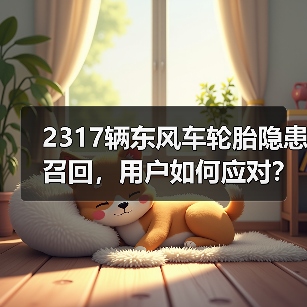 2317辆东风车轮胎隐患召回,用户如何应对?(图1) 2317辆东风车轮胎隐患召回,用户如何应对?(图1)
